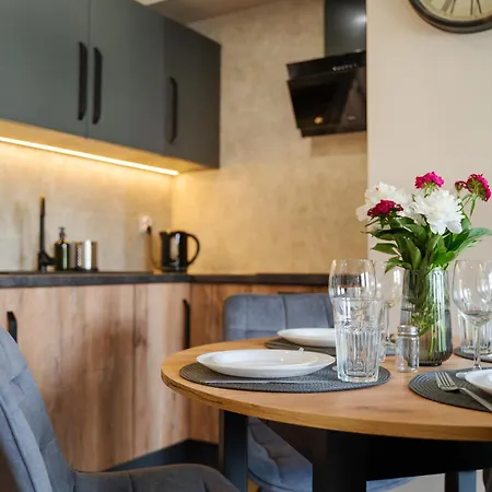Apartment Jezyk-charming Free Parking Poznan