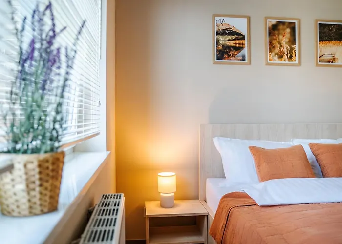 公寓 Jezyk-charming Free Parking 波兹南